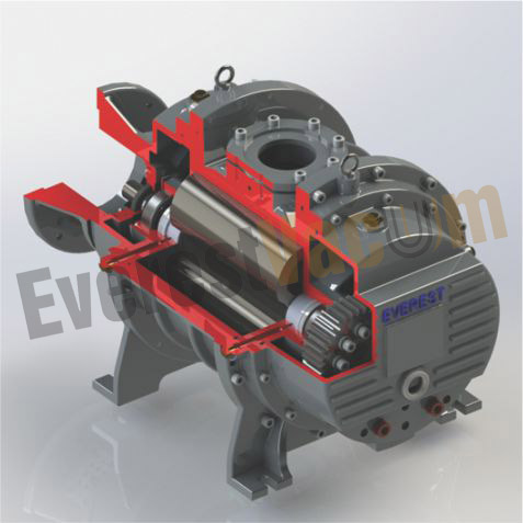 Dry Screw Pump Model EVB15