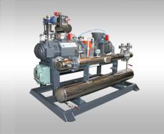 Dry Screw Pumps first-time achievement IR