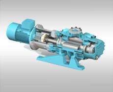Dry Screw Pumps first-time achievement IR variant