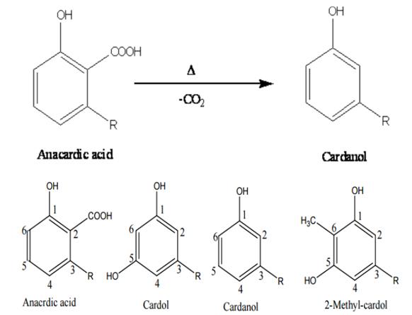 cashew-nut-shell-oil-distillation-cnsl-cardanol-oil-extraction-process-ir-section-v1-1664