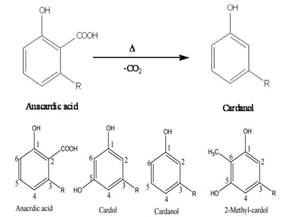 Cashew nut shell oil distillation process