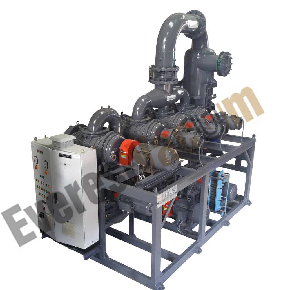 Dry Screw Pumps Skid 3