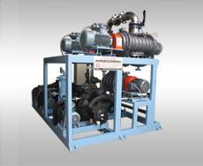 Achievement representation in the field of dry screw pumps