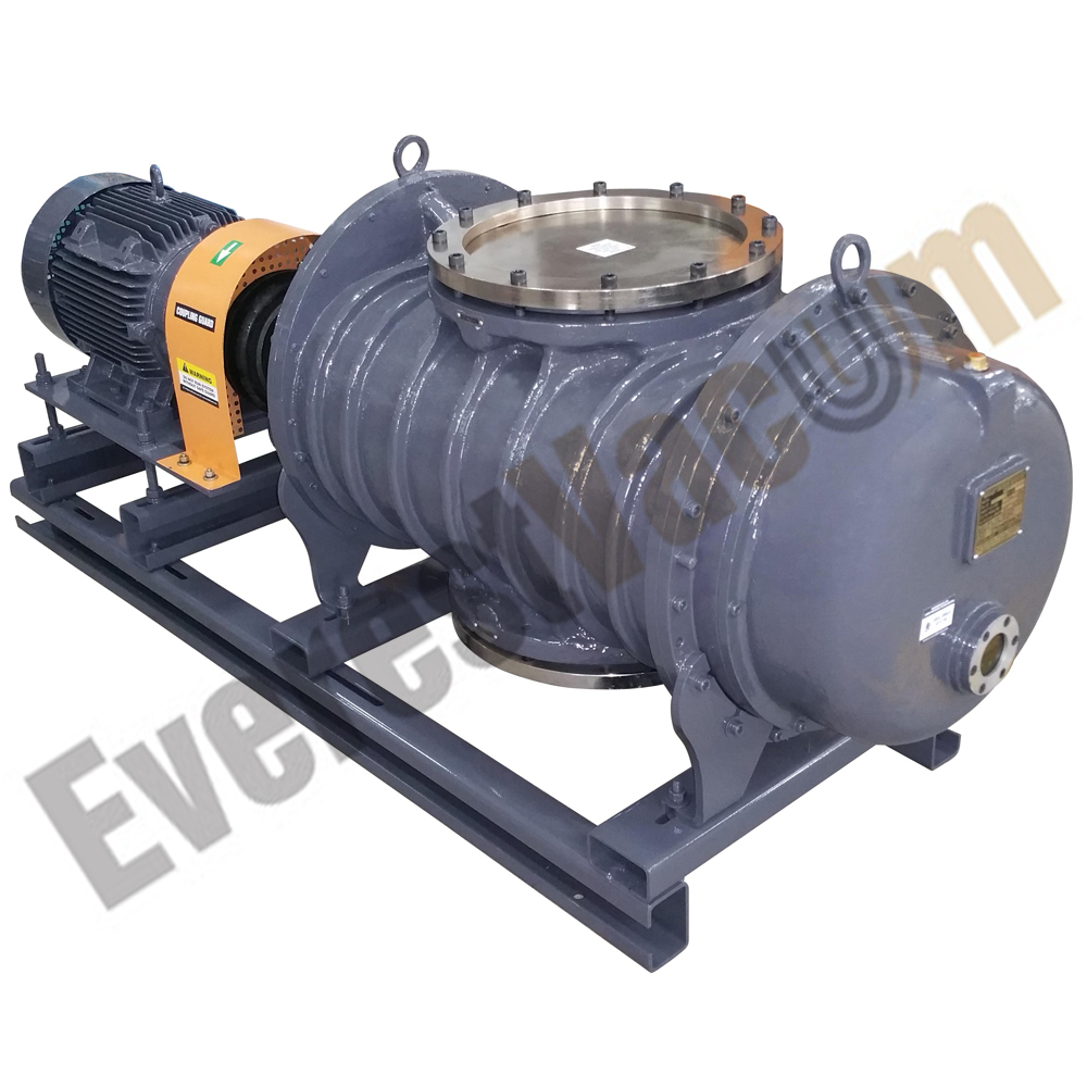 EVB50 model of dry screw pumps