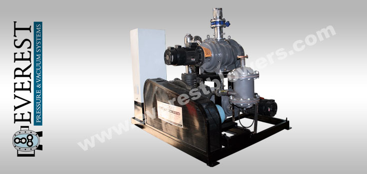 Turnkey Vacuum Plant Solutions Biodiesel Image