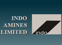 indo-maines-ltd