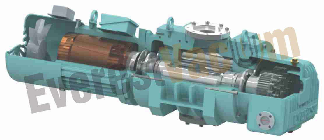EVB 05 model of dry screw pumps
