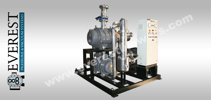 Turnkey Vacuum Plant Biodiesel Solution Visualization