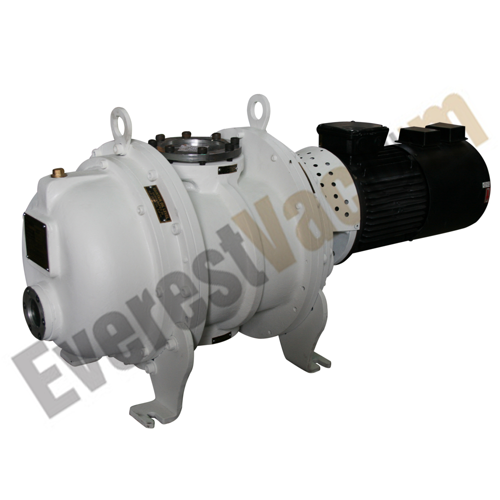 EVB30 model of dry screw pumps