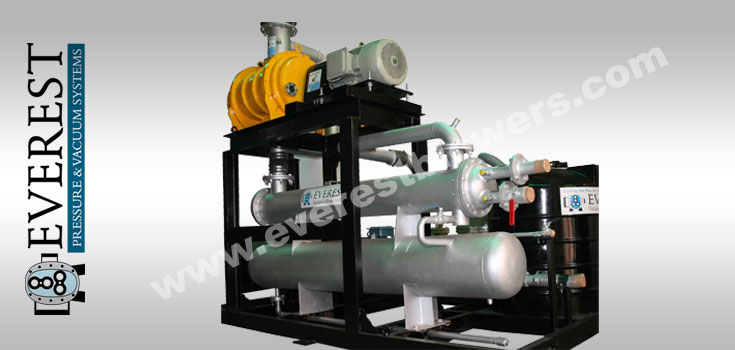 Everest Vacuum System for Rough Food Industry Applications