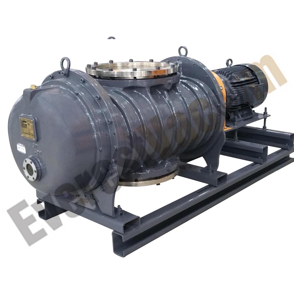 EVB70 model of dry screw pumps