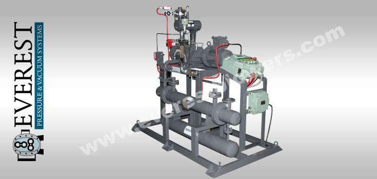 High Capacity Vacuum for Agrochemical Industries Image Agro-1