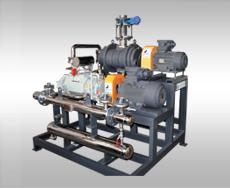 First Time Achievement in Dry Screw Pumps